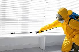 Real Estate Pest Inspections in Ben Bolt, TX